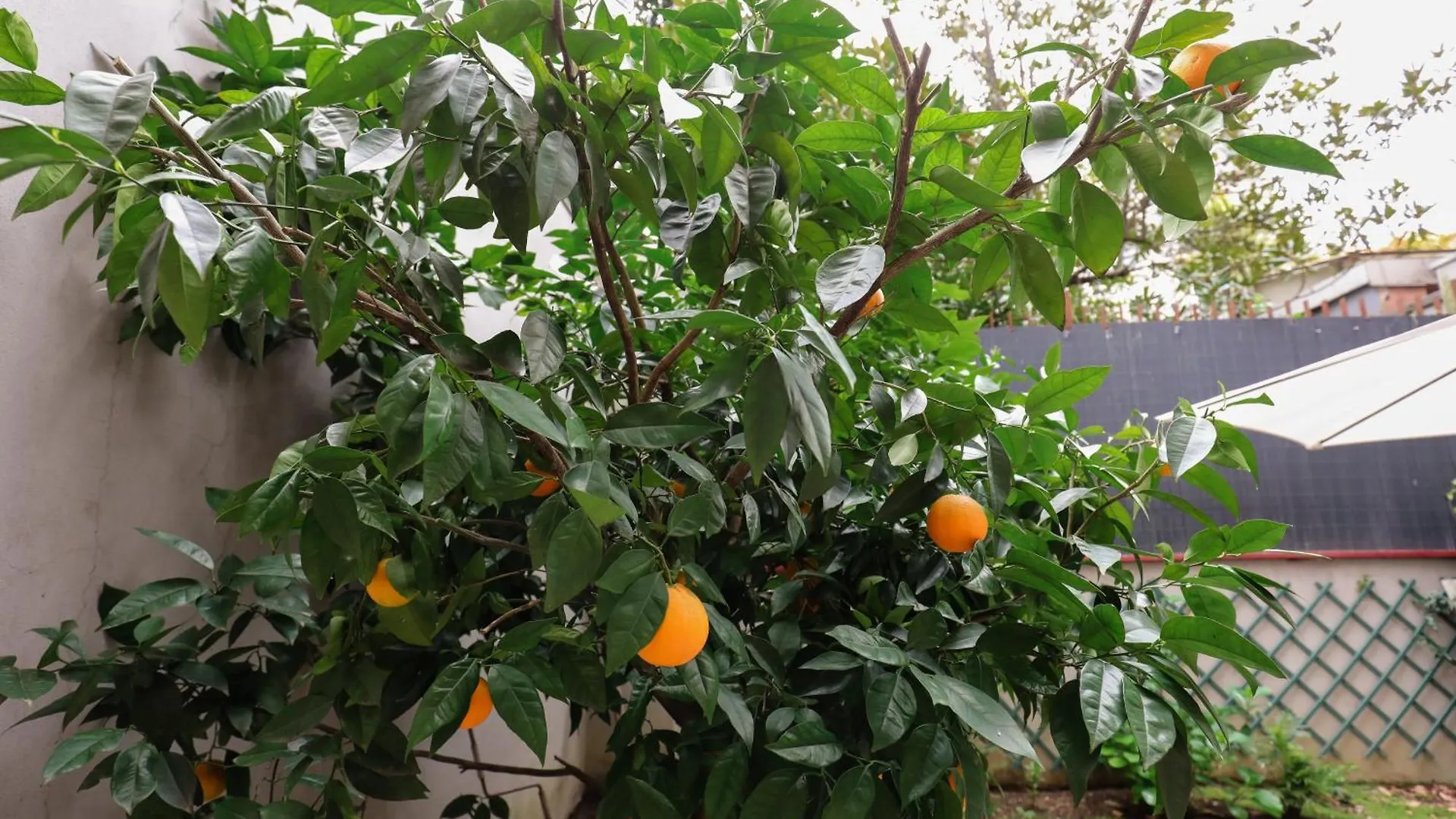 Giardino Terrazzo Privato Bilocale Moderno Vicino Metropolitana Comodo Per Niguarda E Centro Milano